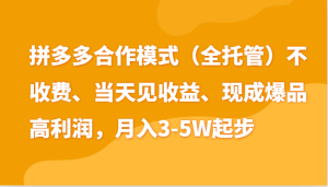 最新拼多多模式日入4K+两天销量过百单，无学费、老运营代操作、小白福利-网创资源
