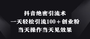 抖音绝密引流术，一天轻松引流100+创业粉，当天操作当天见效果-网创资源
