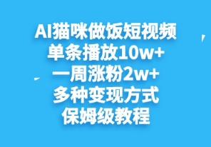 AI猫咪做饭短视频，单条播放10w+，一周涨分2w+，多种变现方式，保姆级教程-网创资源
