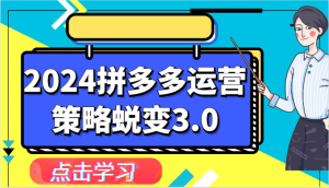 2024拼多多运营策略蜕变3.0-提升拼多多认知、制定运营策略、实现盈利收割等-网创资源