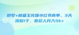 即梦+林黛玉完爆小红书商单，3天涨粉1千，靠怼人月入5k+-网创资源
