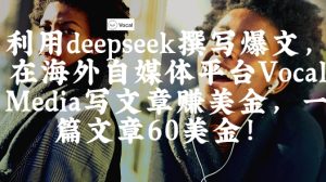 出海搞钱！利用deepseek撰写爆文，在海外自媒体平台Vocal Media写文章挣美金，一篇文章60刀-网创资源