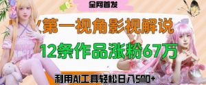 爆火第一人称视角影视解说，12条作品涨粉67W，巧用AI工具，轻松日入几张-网创资源