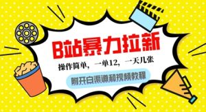 B站暴力拉新：一单12，一天几张，0门槛拉新(附渠道和教程)-网创资源