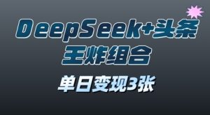 2025年DeepSeek+头条王炸组合，单日变现3张-网创资源