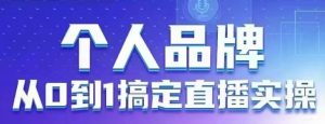 个人品牌：从0到1搞定直播实操，用直播为你的个人品牌赋能，六大实操板块，放大个人影响力-网创资源