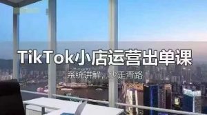 TikTok小店运营出单课，从开店选品、运营出单、发货回款，进行全流程讲解-网创资源