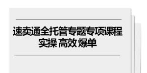 速卖通全托管专题专项课程，实操 高效 爆单（11节课）-网创资源