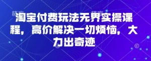 淘宝付费玩法无界实操课程，高价解决一切烦恼，大力出奇迹-网创资源