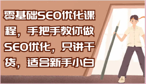 零基础SEO优化课程，手把手教你做SEO优化，只讲干货，适合新手小白-网创资源
