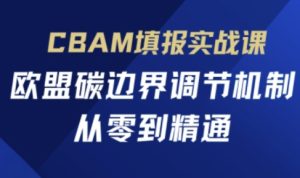 CBAM填报实战课，欧盟碳边界调节机制，从零到精通-网创资源