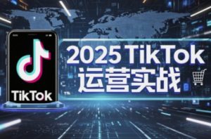 2025TikTok电商运营，掌握TikTok店铺运营核心技巧，实现低成本高转化-网创资源
