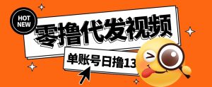 零撸代发视频，单账号每天撸13元，零粉丝就可以撸，新手福利！-网创资源