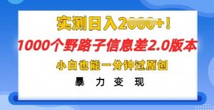 2025抖音1000个野路子信息差最新玩法，一分钟过原创，暴力变现月入几k-网创资源