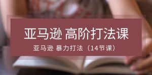 亚马逊高阶打法课，亚马逊暴力打法（14节视频课）-网创资源