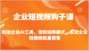 企业短视频钩子课-利用企业AI工具，借助矩阵模式，实现企业短视频批量获客-网创资源