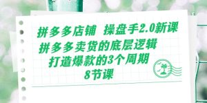 拼多多店铺操盘手2.0新课，拼多多卖货的底层逻辑，打造爆款的3个周期（8节）-网创资源