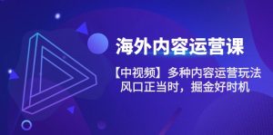 海外内容运营课【中视频】多种内容运营玩法 风口正当时 掘金好时机（101节）-网创资源