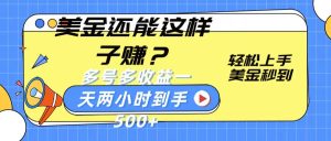 美金还能这样子赚？轻松上手，美金秒到账 多号多收益，一天 两小时，到手500+-网创资源