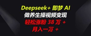 Deepseek+即梦AI，做养生操视频变现，轻松涨粉38W+，月入一W+-网创资源