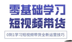 快手运营+高阶剪辑实战课，0到1学习短视频带货全新运营技巧-网创资源