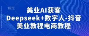美业AI获客Deepseek+数字人-抖音美业教程电商教程-网创资源