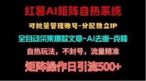 红薯矩阵自热系统，独家不死号引流玩法！矩阵操作日引流500+-网创资源