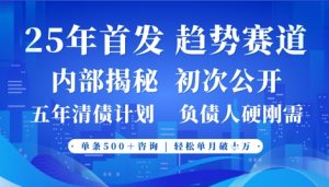 2025年首次公开，真正的事业型赛道，客咨不断，单月轻松破W-网创资源