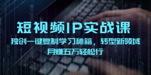 短视频IP实战课，独创一键复制学习秘籍，转战新领域，月赚五万轻松行-网创资源
