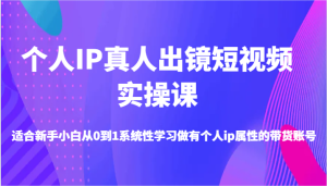 个人IP真人出镜短视频实操课-适合新手小白从0到1系统性学习做有个人ip属性的带货账号-网创资源