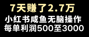 七天赚了2.7万！每单利润最少500+，轻松月入5万+小白有手就行-网创资源