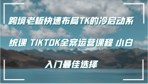 跨境老板快速布局TK的冷启动系统课 TIKTOK全案运营课程 小白入门最佳选择-网创资源