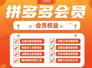 2025拼多多运营实战课，40节全流程教学，覆盖拼多多运营全链路-网创资源