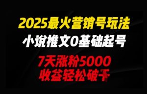 2025最火营销号玩法：小说推文0基础起号，7天涨粉5000，收益轻松破k-网创资源