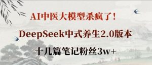 AI中医大模型杀疯了！DeepSeek中式养生2.0版本，十几篇笔记粉丝3w+-网创资源