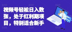 视频号轻松日入数张，处于红利期项目，特别适合新手-网创资源