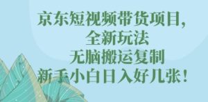 京东短视频带货项目，全新玩法，无脑搬运复制，新手小白日入好几张!-网创资源