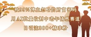 被99%博主忽略的财富密码：用AI批量收割中老年情感赛道，日引流300+精准粉-网创资源