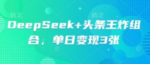 DeepSeek+头条王炸组合，单日变现3张-网创资源