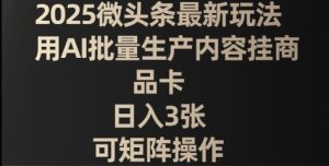2025微头条最新玩法，用AI批量生产内容挂商品卡，日入3张，可矩阵操作-网创资源