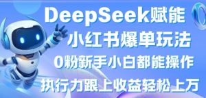 DeepSeek赋能小红书爆单玩法0粉新手小白都能操作，执行力跟上收益轻松上W，懒人勿做-网创资源