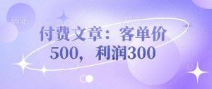付费文章：客单价500，利润300-网创资源