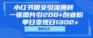 小红书图文引流搬砖，一张图片引200+创业粉，单日变现日数张-网创资源