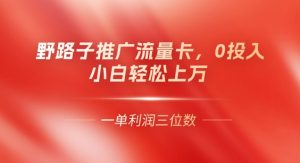 0门槛推广流量卡，一单收益上百，0投入，小白月入过W-网创资源