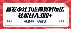 首发小红书虚拟资料玩法，可矩阵，可放大，轻松日入3张-网创资源