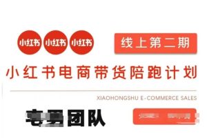 小红书电商带货课2期，月利润20个的小红书电商的有货源，无货源，虚拟产品，付费投流等整套玩法-网创资源