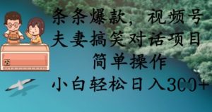条条爆款，视频号夫妻搞笑对话项目，简单操作，小白轻松日入3张+-网创资源