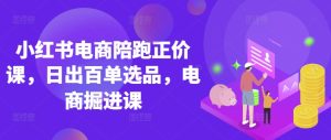 小红书电商陪跑正价课，小红书官方认证电商讲师教学，日出百单选品，电商掘进课-网创资源