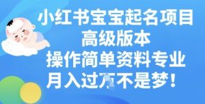 小红书宝宝起名项目高级版本，操作简单，资料专业，月入过W-网创资源