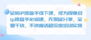全案IP操盘手线下课，成为现象级ip操盘手必修课，无保留分享，全是干货，不讲废话超深度培训实操-网创资源